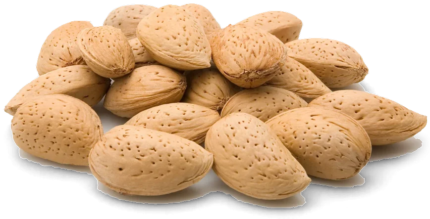 Almonds in Shell USA
