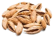Uzbek Roasted Almonds (Soft Shell)
