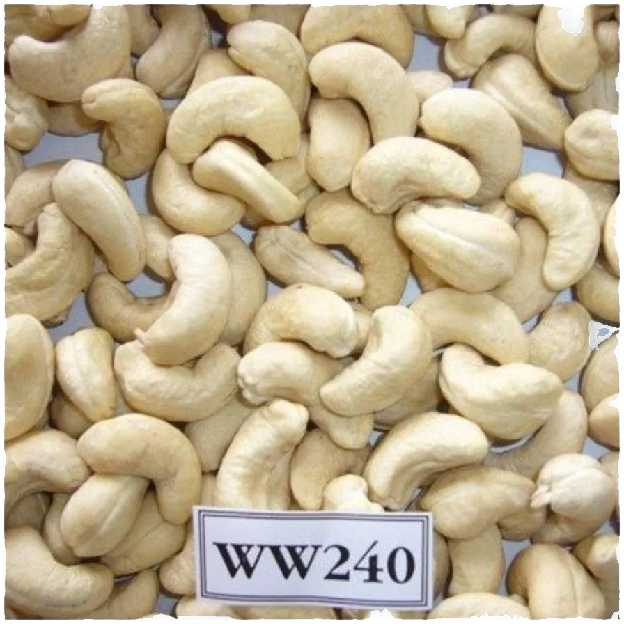 Cashew WW240 Vietnam
