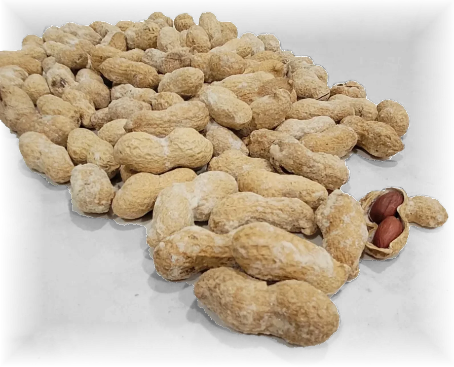 Peanuts in Shell Roasted