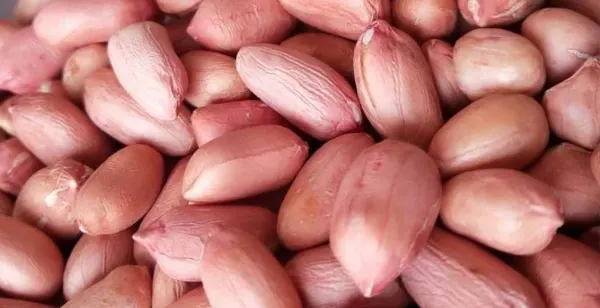 Peanuts